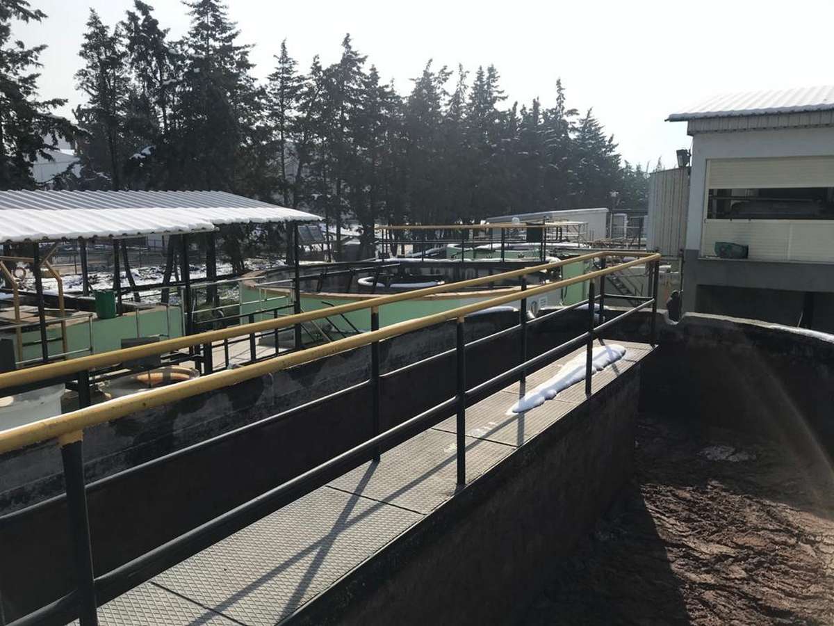 WhatsApp Image 2021-03-02 at 07.42.54 (7)