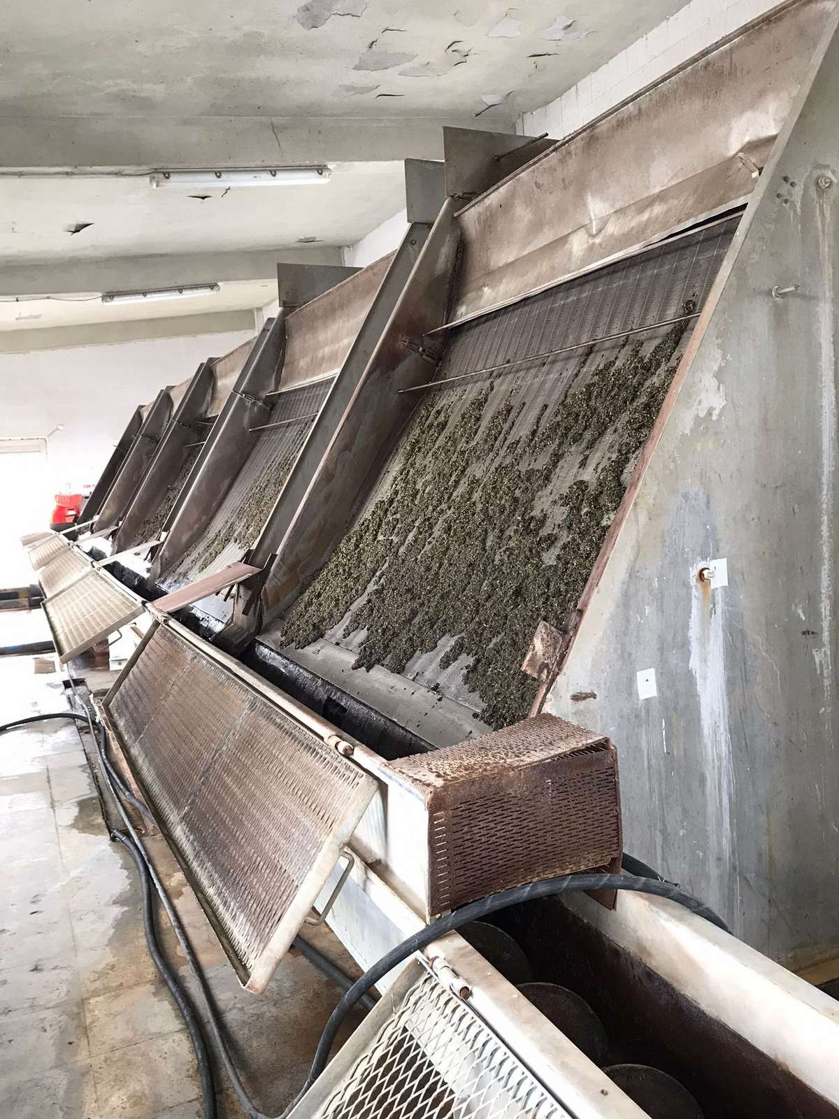 WhatsApp Image 2022-01-15 at 12.36.08